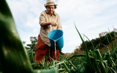 Produtos personalizados são o futuro do seguro rural no Brasil, diz Brasilseg