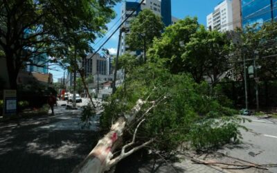 O efeito das quedas de energia para a Bradesco Seguros