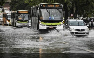 Mercado de Seguros precisa encarar o desafio ambiental com soluções inovadoras