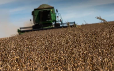 Queda na cobertura do seguro rural preocupa produtores agrícolas