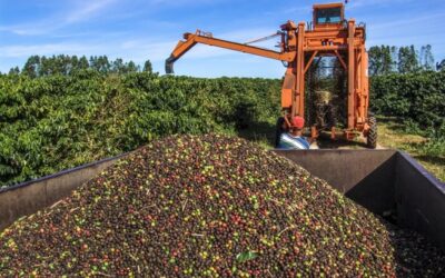 Queda na cobertura do seguro rural preocupa produtores agrícolas