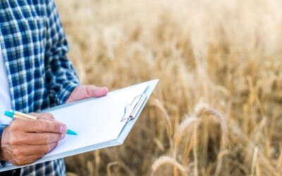 Menos de 20% dos agricultores brasileiros têm a proteção do seguro rural no Brasil