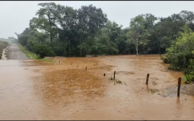 Como a tragédia no RS impacta o seguro rural