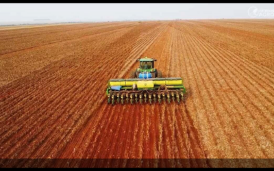 Setor produtivo defende modernização do seguro rural