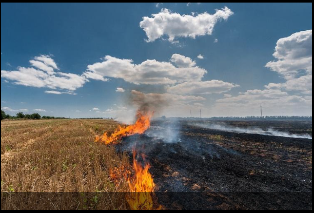 Setor segurador e a gestão de riscos climáticos: inovações e estratégias para uma economia sustentáve