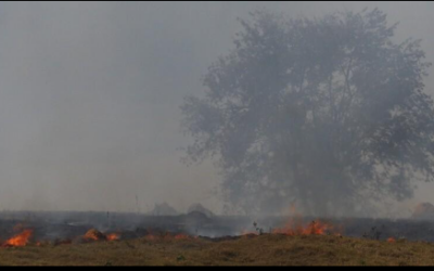 CNseg desenvolve ferramentas para seguradoras lidarem com mudança climática