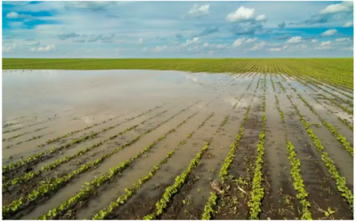 Impactos do clima elevam procura por seguro rural