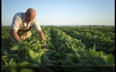 CNseg participa de audiência pública sobre aperfeiçoamento do seguro rural