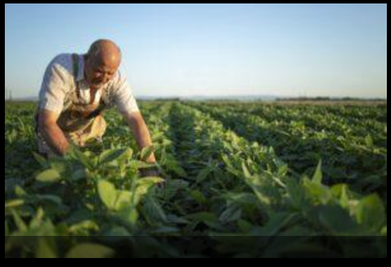 CNseg participa de audiência pública sobre aperfeiçoamento do seguro rural